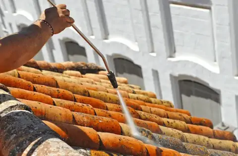 Nettoyage de toitures - Saint-Martial d'Artenset